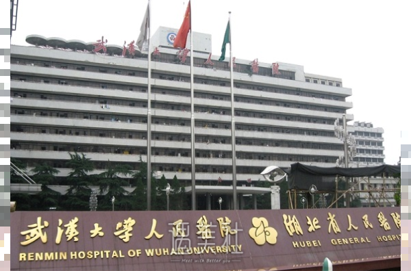 湖北省人民医院整形科价格表2020版全新一览